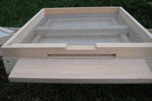 Çankırı`da `Polen Tuzaklı Kovan Altlığı` Projesi