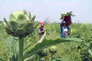Avrupa ile Rusya Arasındaki Sorun Türk Üreticiye Yaradı