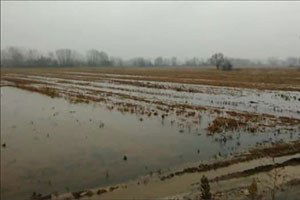 Sakarya`da Sağanak Yağış