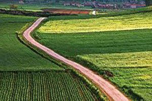 Şereflikoçhisar ve Evren Arazi Toplulaştırma Projeleri Çiftçilere Anlatıldı