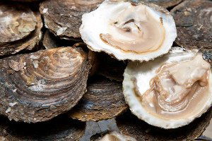 Su Ürünleri Gen Bankası Kurulacak