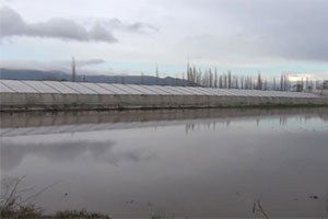 Ortaca`da Tarım Arazileri ve Narenciye Bahçelerini Su Bastı