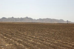 Tarım Arazileri Son 10 Yılda 2,8 Milyon Hektar Azaldı