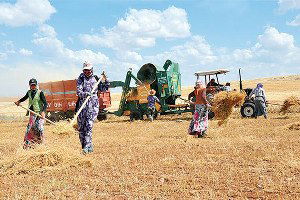 Tarımda Kayıt Dışı İstihdamla Mücadele Semineri Gerçekleştirilecek