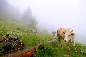 6. `Tarım ve İnsan` Fotoğraf Yarışması