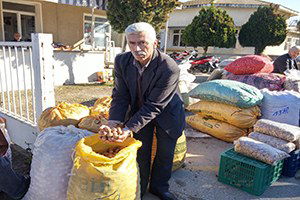 Tire`nin Ceviz ve Kestanesi Bu Pazarda Alıcı İle Buluşuyor