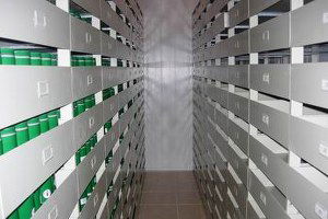 117 Bin Çeşit Tohum, Gen Bankasında Muhafaza Ediliyor