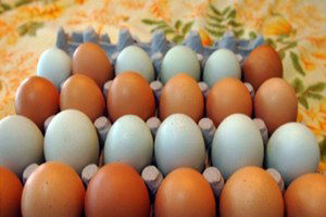 Yumurta İçin Yeni Standartlar