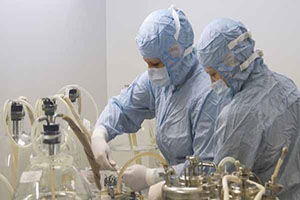 Bulgaristan`da kuş gribi olduğu tespit edildi