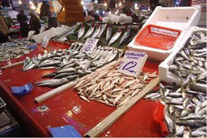 Bakanlıktan Balık Varlığını Artıracak Yatırım