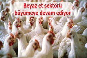 Beyaz et sektörü büyümeye devam ediyor