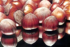 Düzce`de Aralık Ayında 3 Bin 929 Ton İç Fındık İhracatı Gerçekleştirildi