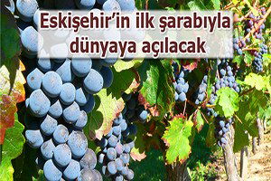 Eskişehir`in ilk şarabıyla dünyaya açılacak