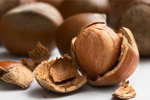 Fındığın kilogramı 17 liraya çıktı