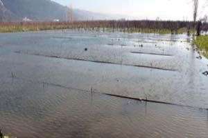 Göle Dönen Gürsu Ovası, Mecliste Gündeme Geliyor