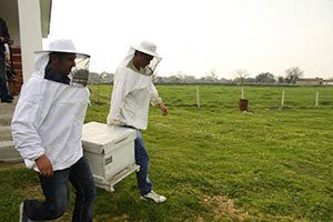 Kırıkkale`de, Arıcılık Kursu