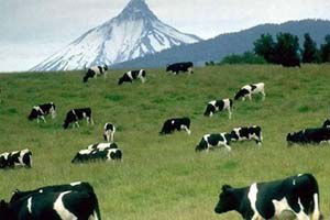 Kırıkkaleli Çiftçiler Bilgilendirildi