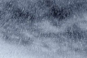 Muğla`da Soğuk Hava ve Don Etkili Oluyor