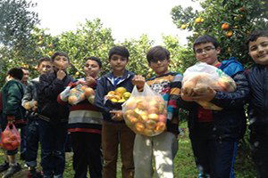 Narenciye Üreticisi de Kampanya İstiyor