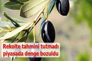 Rekolte tahmini tutmadı, piyasada denge bozuldu