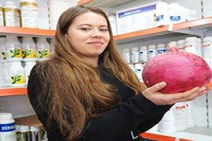 Sarıgöl`de Devasa Turp İlgi Odağı Oldu