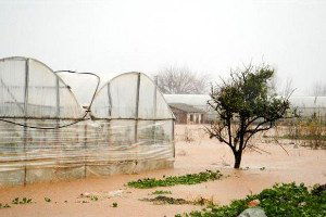 Muğla`da Seraları Su Bastı