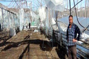 Simavlı Seracılar Borçlarının 1 Yıl Ertelenmesini İstedi