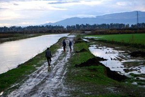 Söke Ovası`nda Ekili Arazileri Su Bastı