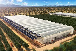 Seracılığın `Püf Noktaları`nı Öğrendiler