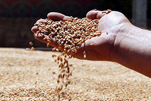 III. Uluslararası Tohumculuk Çalıştayı