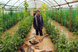 Buradan bir ürün elde etmek mümkün değil