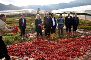 Üreticilerin Yarasını Sarmaya Çalışacağız