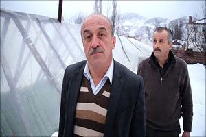 Yoğun Kar Yağışı İnebolu`da Seraları Yıktı