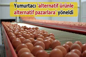 Yumurtacı `alternatif ürünle alternatif pazarlara` yöneldi