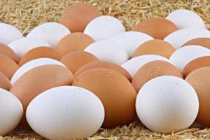 Zirai Dondan Canı Yanan Üreticinin Yüzü Yumurtayla Güldü