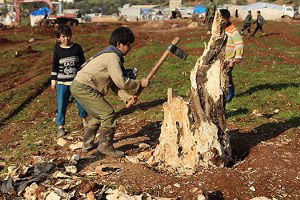 Suriye`de Tarım Durma Noktasında