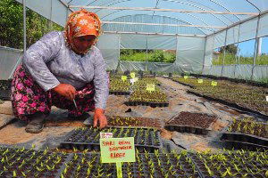 Para Geçmeyen Pazar Seferihisar`da Kuruluyor