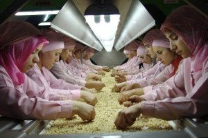 2447 Ton Fındık, 1474 Ton Tavuk Ayağı İhracatı Yapıldı