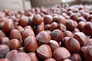 Alan Bazlı Gelir Desteği Ödeme İcmalleri Askıda