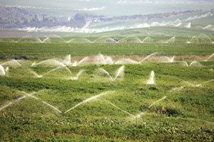 DSİ: Atık sularımız heba edilmeyecek