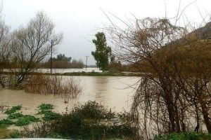 Baraj Kapakları Açıldı, Tarım Arazileri Sular Altında Kaldı