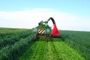 Toprak Analizi ve Yem Bitkileri Desteği Verilecek