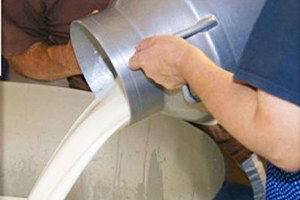 Çiğ Süt Kalitesinin Artırılması Çalışmaları Devam Ediyor