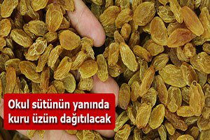 Üzüm Üreticilerine Müjde