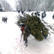 Kar Yağışı Çiftçileri Sevindirdi