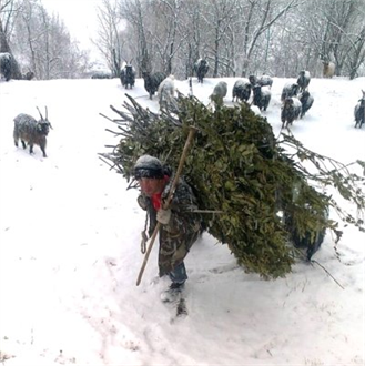 Kar Yağışı Çiftçileri Sevindirdi