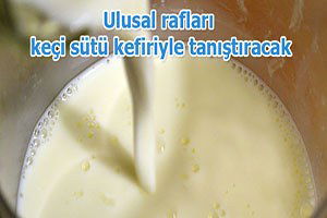 Radoha, ulusal rafları keçi sütü kefiriyle tanıştıracak