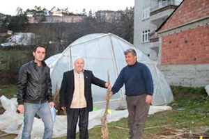 Küre`de Ceviz Fidanları Dağıtıldı