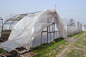 Lodos Seralara Zarar Verdi