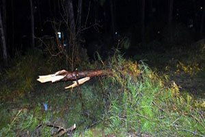 Marmaris`te hortum büyük hasara neden oldu